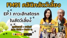 ภาวะฮีทสโตรกในสัตว์เลี้ยง EP.1 : FM91 คลินิกสัตว์เลี้ยง : 2 มีนาคม 2567