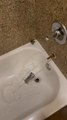 Faucet Falls Into Tub While Turning on Shower