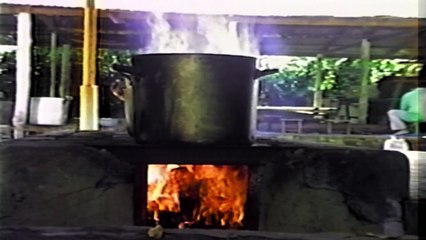 DMT - The Spirit Molecule (2010)