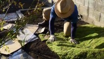 Paste moss as a ground cover, which is very important in Japanese gardens.・La mousse est utilisée comme couvre-sol très important dans les jardins japonais.