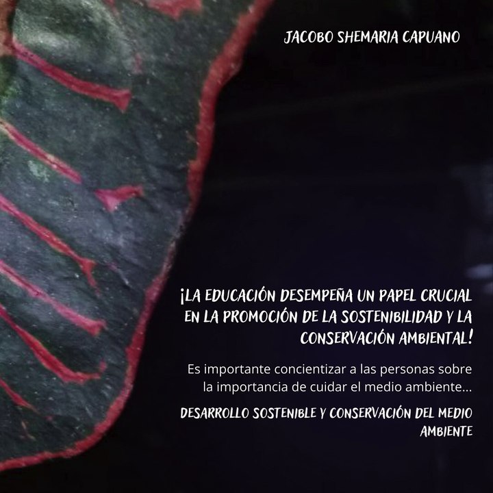 -Jacobo Shemaria Capuano- ¡Son desafíos urgentes! (Parte 2) (Creado por @JacoboShemariaCapuano)