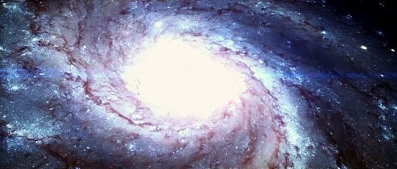 The Watchers: Revelation Bande-annonce (EN)