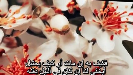 قصيدة امرؤ القيس فهي هي(360P)