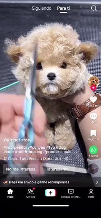 Video Tk 003