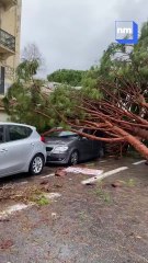 Une "mini-tornade" s’est abattue sur le Vieil Antibes