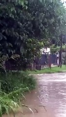 El temporal afecta a varios sectores de Salta