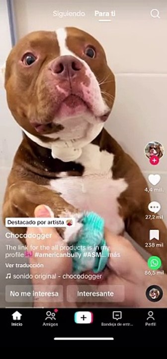 TK video 005