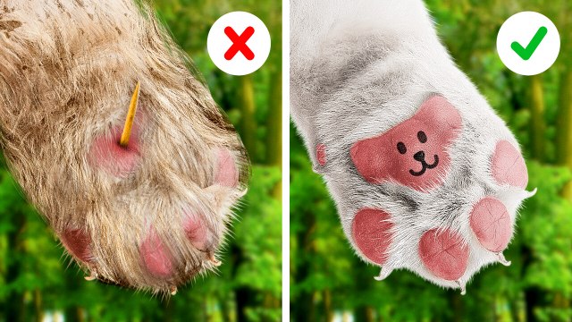 Smart Pet Parenting: Clever Hacks, Tips and DIY Crafts for Pet Owners ✨