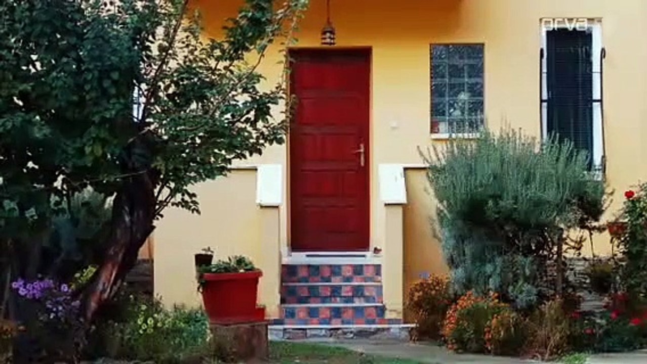 Igra sudbine 1004 Epizoda - Igra sudbine 1004 Epizoda