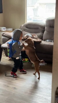 Boy Dances With His Dog
