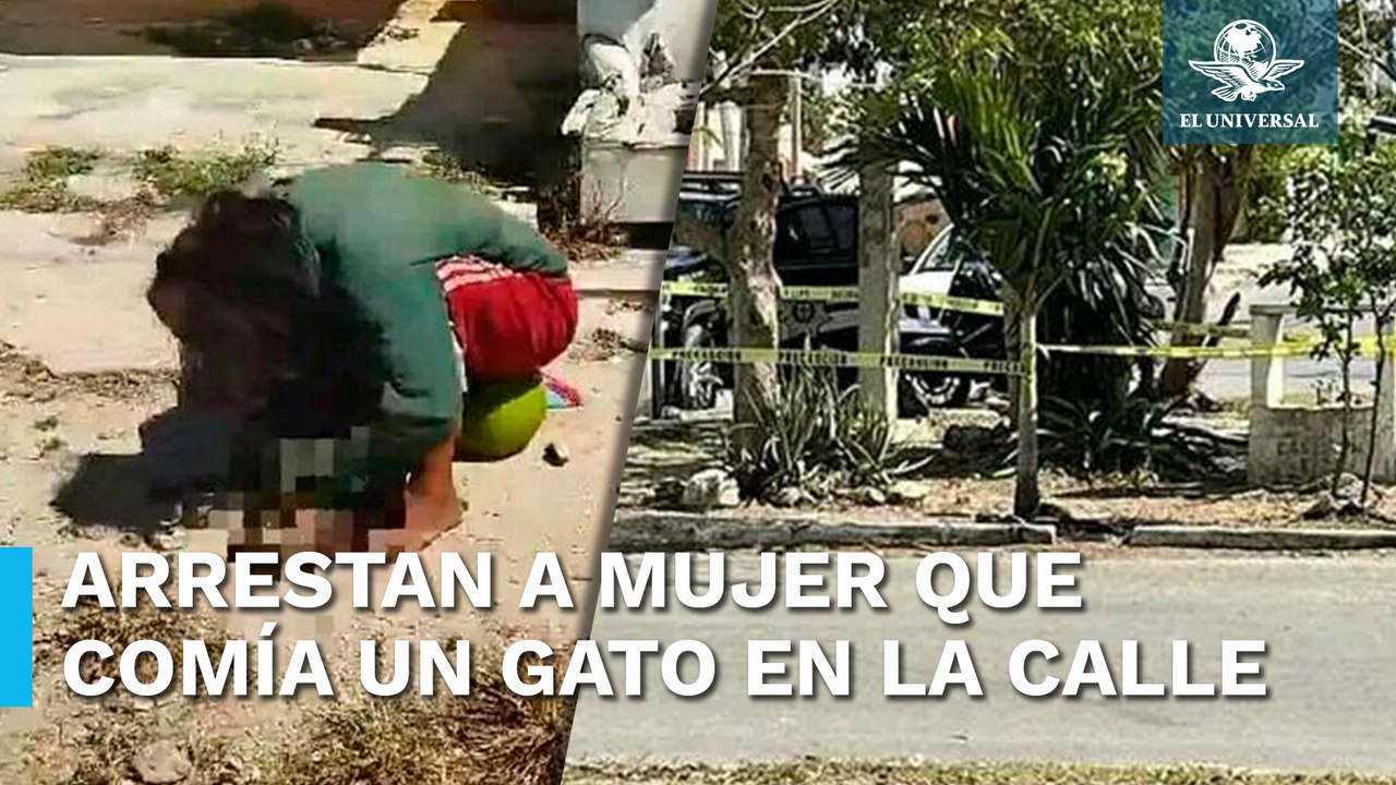 Por comerse un gato en la vía pública, arrestan a mujer en calles de Kanasín, Yucatán