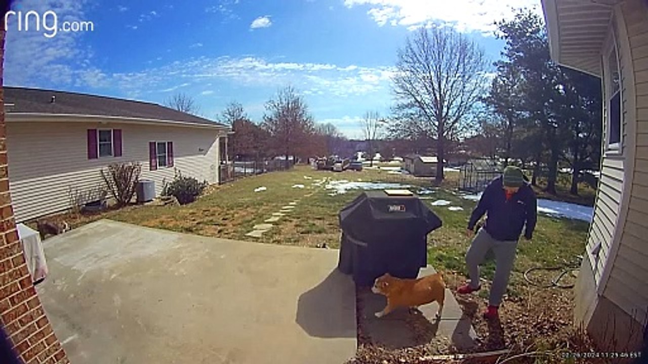 Leashed Dog Accidently Clotheslines Grill