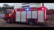 Bombeiros capturam filhote de cobra em quintal na Rua Fagundes Varella