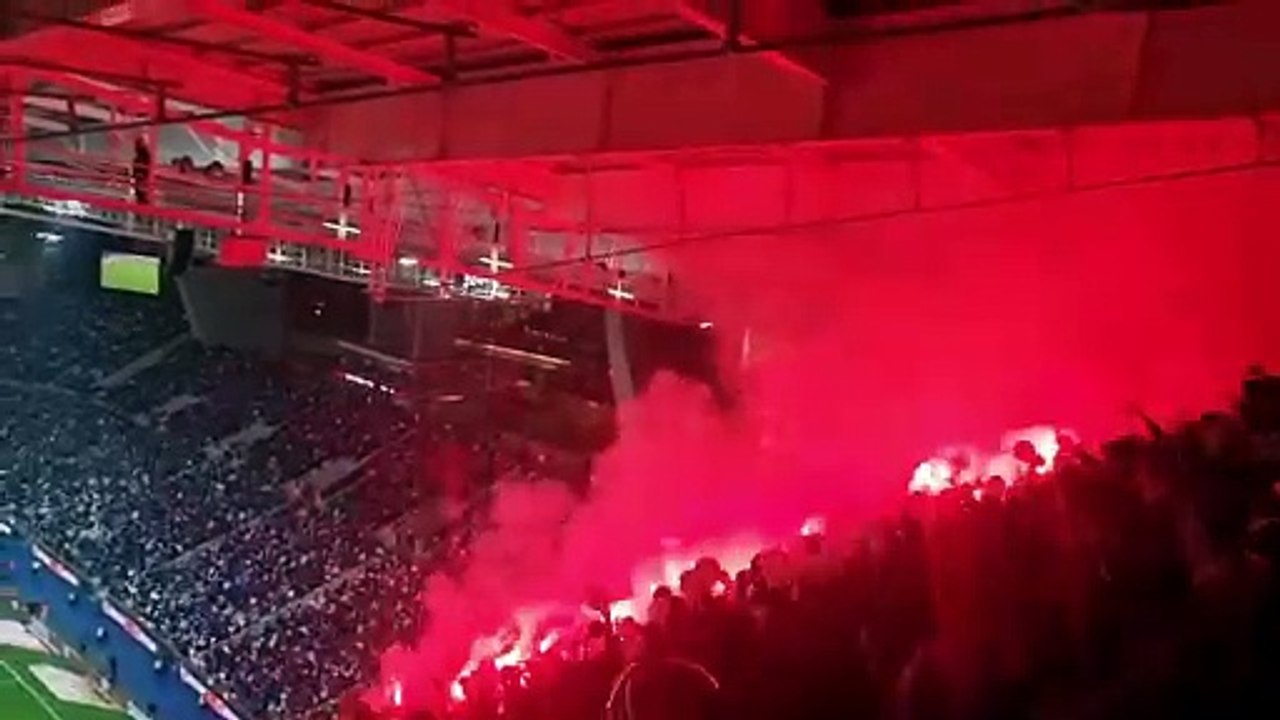 Benfica adeptos