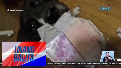 Passport ni Kuya Kim Atienza, nginatngat ng kaniyang aso | UB
