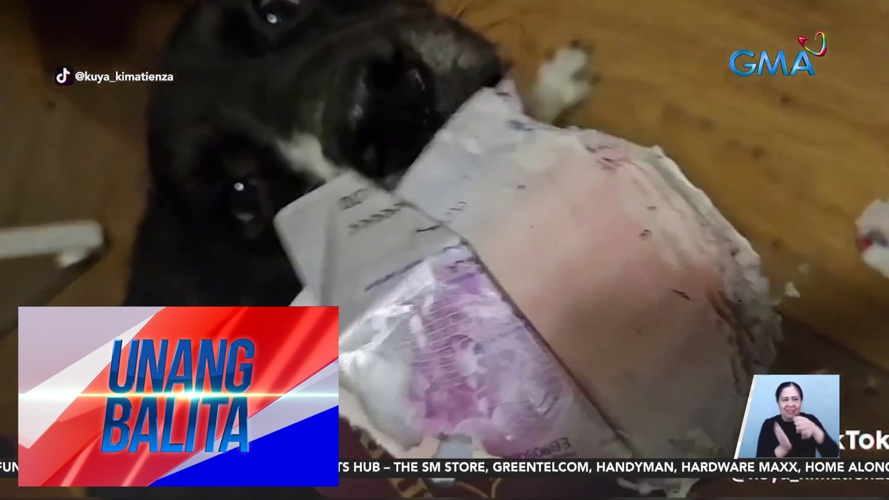 Passport ni Kuya Kim Atienza, nginatngat ng kaniyang aso | UB