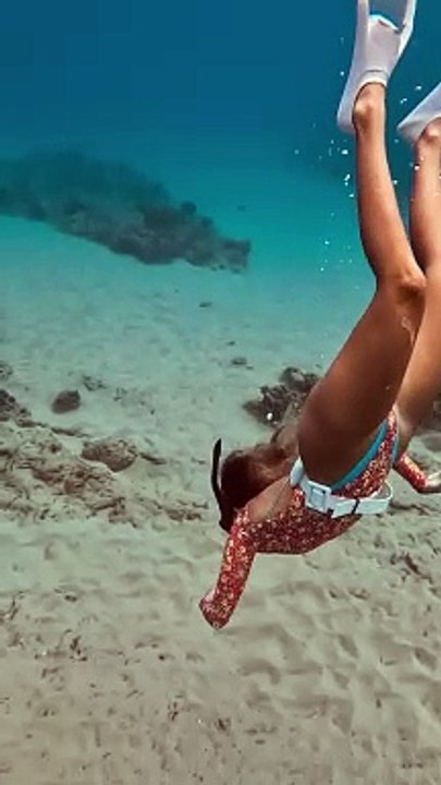J'ai trouvé la plus jolie coquille et un poids de pêche au fond de l'océan !