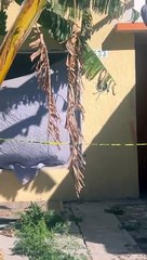 Vecinos encontraron cadaver en casa abandonada en Tlajomulco