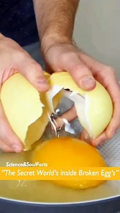 "The secret world inside broken egg "