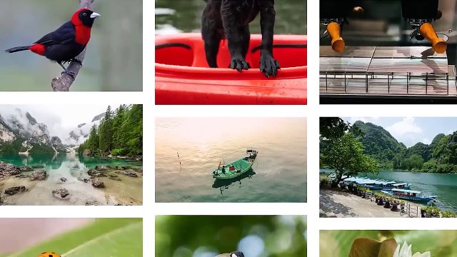 Best 5 Niches To Earn Money Reselling FREE Photos
