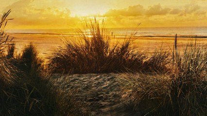 Retour à l'instinct primaire vidéo bande annonce