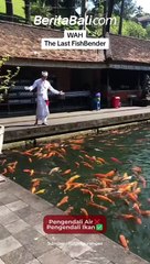 Pengendali Air❌ Pengendali Ikan✅