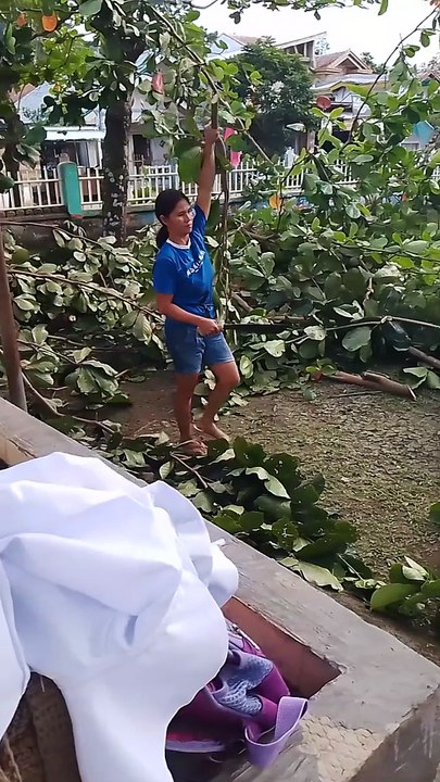 manglimpyo tah