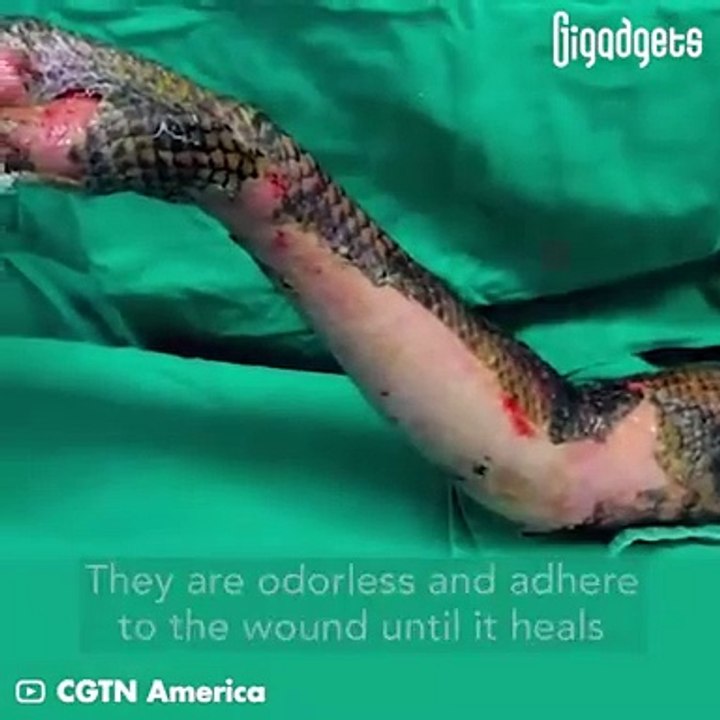 Did you know?
