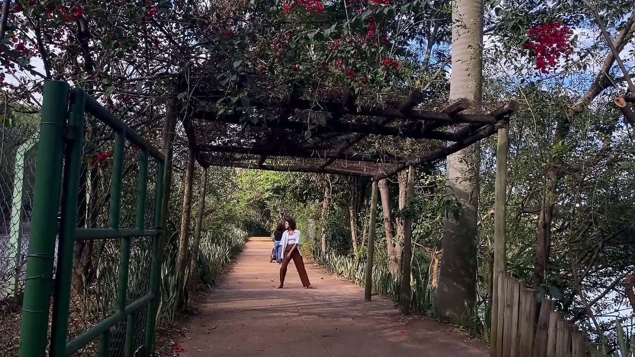 Ateliê de Criação V - TUDO VOLTA NA SAUDADE