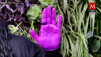 ¿Cómo identificar la señal internacional de auxilio?