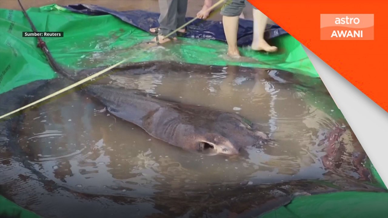 40 juta penduduk Sungai Mekong bakal berdepan krisis makanan