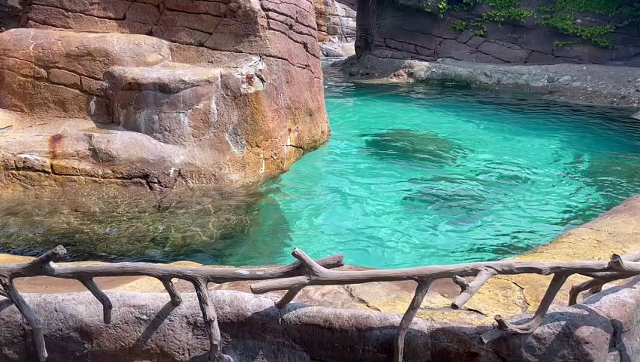 Indianapolis Zoo
