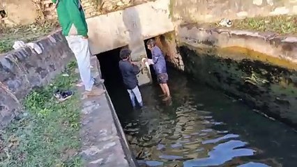 जान हथेली पर लेकर नहर में इस तरह कर रहे शिकार...देखें वीडियो
