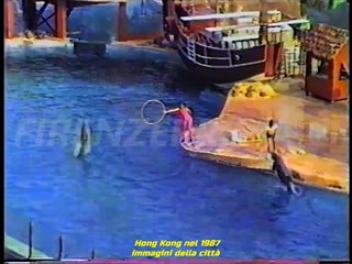 Hong Kong city, summer 1987