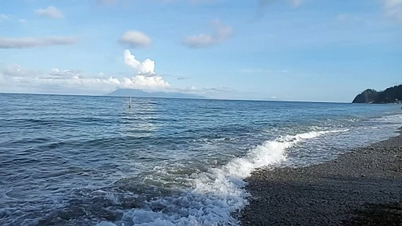 shore