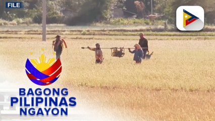 DSWD, naglaan ng P1.4-B na pondo para sa mga proyekto upang maibasan ang epekto ng #ElNiñoPH