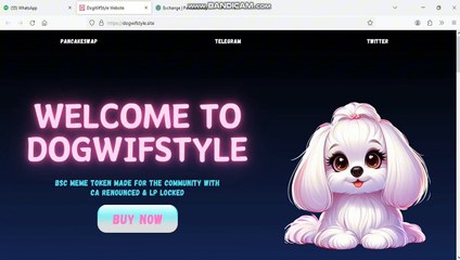 dogwifstyle bsc blockchain token project 100x potational completely  review
