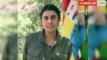 MİT, PKK'nın sözde sorumlusu Gülsün Silgir'i etkisiz hale getirdi