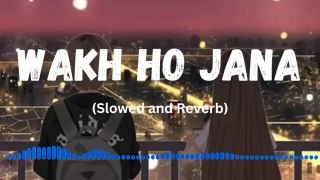 Appa Wakh Ho Jana | Slow And Reverb Song | Sad Song #sadsong