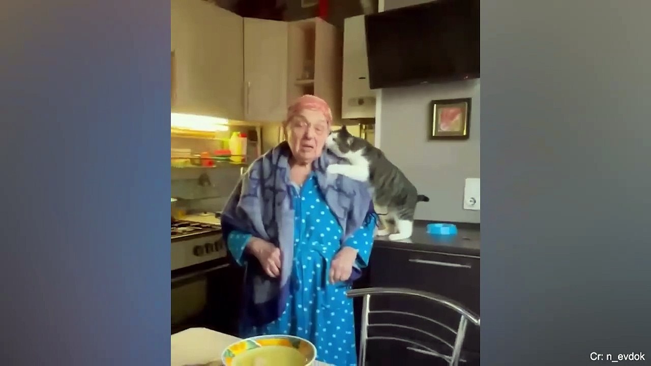 Cats are more affectionate than you might think