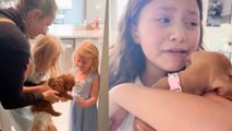 Heartwarming Puppy Surprises | Best Family Reactions Ever!