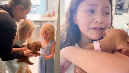 Download Video: Heartwarming Puppy Surprises | Best Family Reactions Ever!