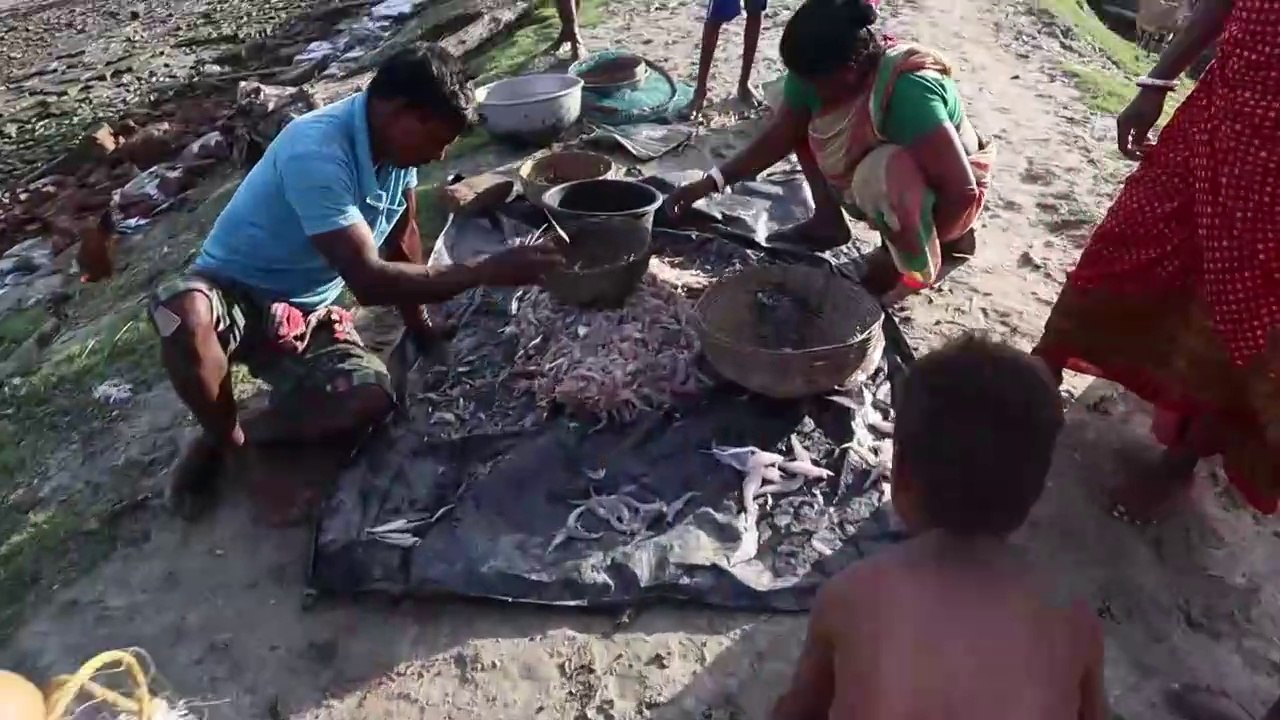 It is not only fishing in Matla river of Sundarbans. Return from the mouth of the tiger-2022. Episode-1. Bangla
