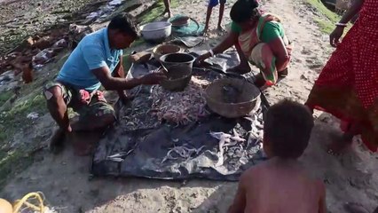 It is not only fishing in Matla river of Sundarbans. Return from the mouth of the tiger-2022. Episode-1. Bangla