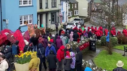 Dragon Parade in St Davids