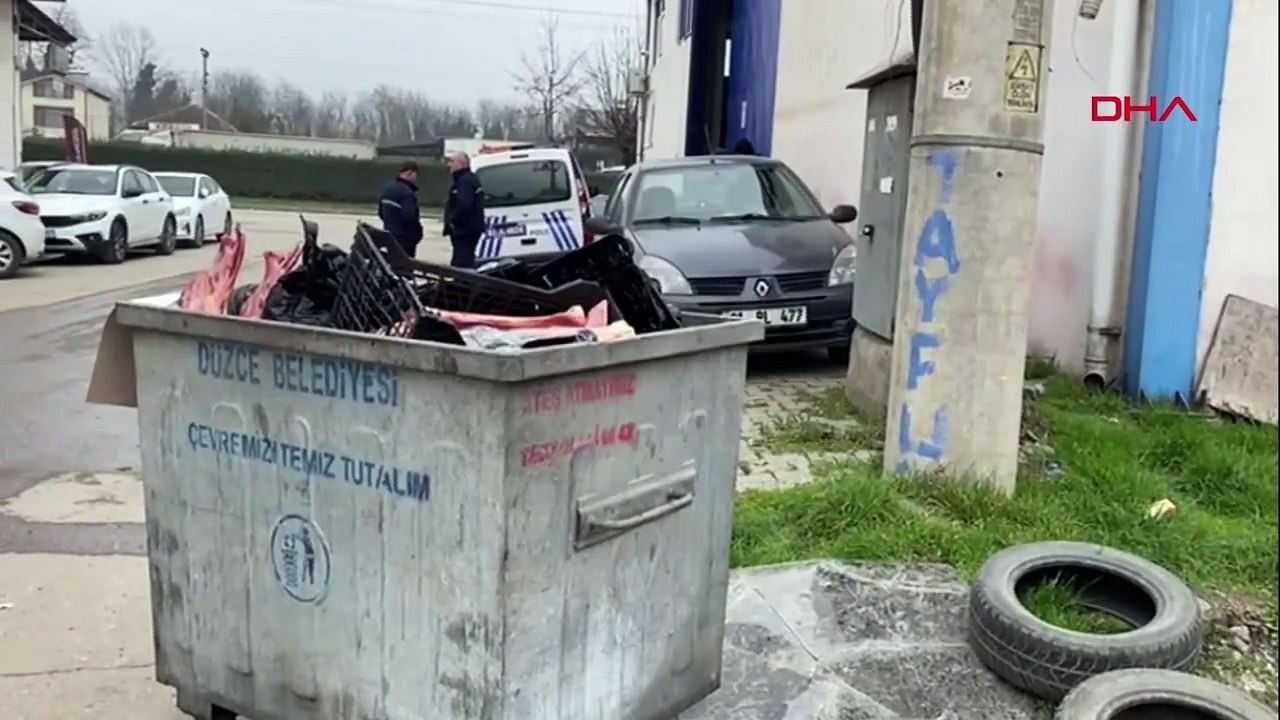 Çöpte eti sıyrılmış at kemikleri bulundu