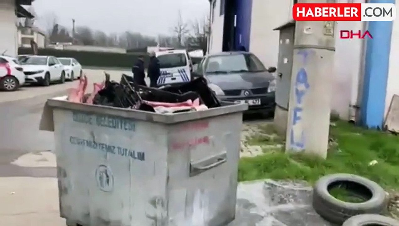 Çöp konteynerinde eti sıyrılmış at kemikleri bulundu
