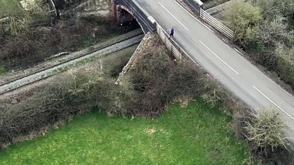 Adorable Puppy Rescued from Ditch in Burton Dassett Park 🐶
