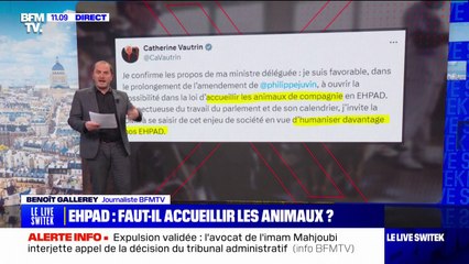 Le gouvernement favorable à accueillir les animaux de compagnie en Ehpad