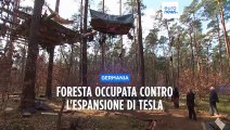 Germania, ambientalisti occupano la foresta per protestare contro l'espansione della fabbrica Tesla